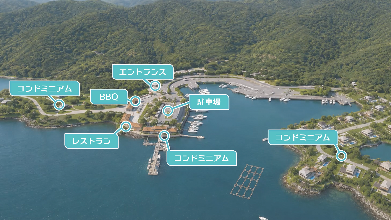 A.P.C 区画全体図